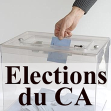 18-09-20_ca_elections_2.png